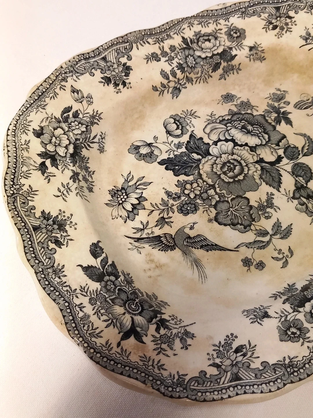 Antika Asiatic Pheasants Transferware Servis Tabağı — yakın plan 6