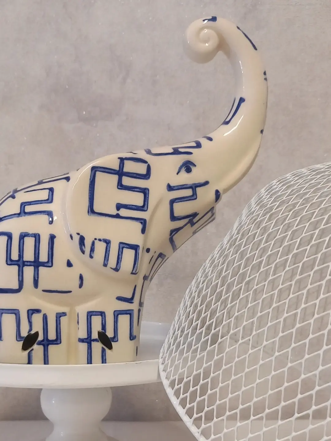 Fil biblonun başı, kulağı ve spiral kıvrık hortumunun yakın planı