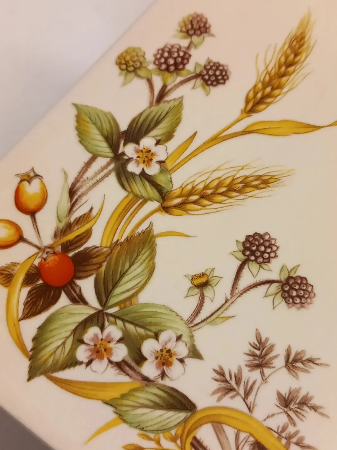Buğday başakları, böğürtlenler, beyaz çiçekler ve kuşburnundan oluşan desenin yakın planı