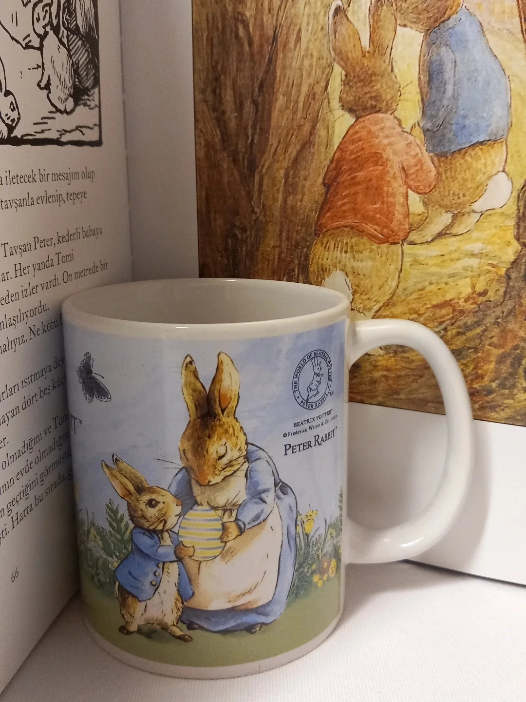 Kupanın Peter Rabbit illüstrasyonu yakından
